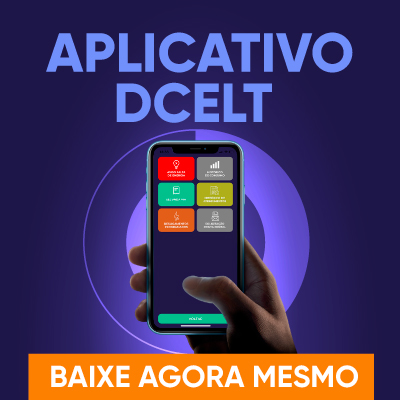 DCELT 2024 novo INTERNO