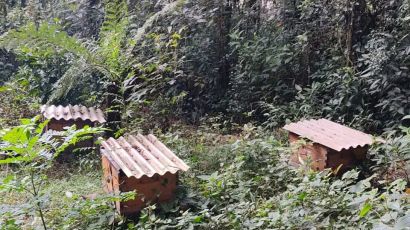 Polícia Civil recupera caixas de abelhas furtadas em Ponte Serrada