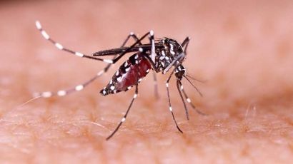 Secretaria de Saúde confirma mais cinco casos de dengue