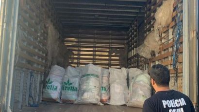 Polícia Civil de Xanxerê destrói uma tonelada de papel