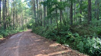 Investigação sobre assassinato de idoso em Ponte Serrada é concluída pela Polícia Civil