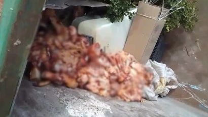Vigilância Sanitária de Faxinal dos Guedes flagra descarte de restos bovinos em caixa coletora