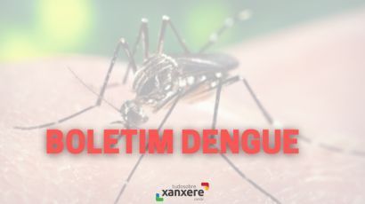 Atualização dos números da dengue em Xanxerê