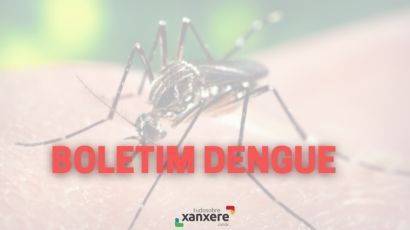 Confira a atualização dos números da dengue em Xanxerê 