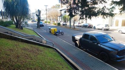 Substituição de árvores na rua Fidêncio de Souza Mello será retomado na próxima semana
