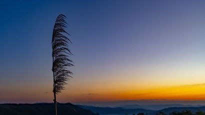 Inverno em Santa Catarina deve ter chuvas e temperaturas próximas da média