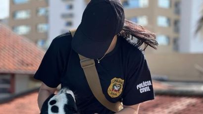 Polícia Civil lança portal para adoção de animais resgatados e vítimas de maus-tratos