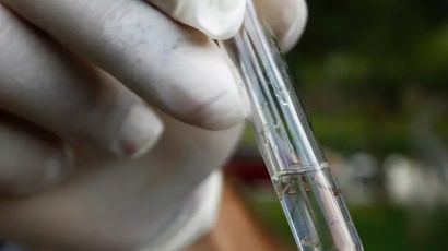 Combater a dengue no inverno é fundamental para evitar alta de casos nos meses mais quentes