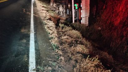 Caminhão sai da pista e tomba na SC-480 durante a madrugada