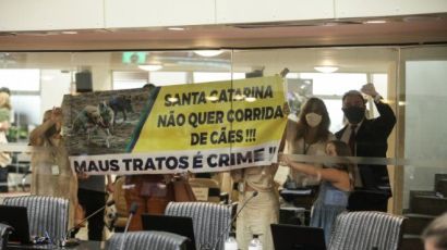 Alesc aprova projeto que proíbe corrida de cães em SC