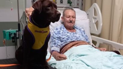 Plantão Quatro Patas - Cinoterapia espalha amor e alegria no Hospital Regional São Paulo