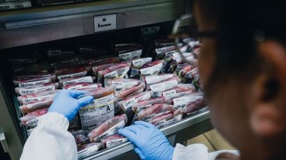 Hemosc celebra 37 anos com mais de 2 milhões de bolsas de sangue coletadas e transfundidas