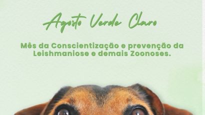 Bem-estar animal: SC promove evento sobre conscientização e prevenção de zoonoses