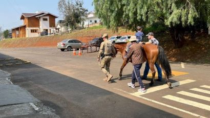 Polícia Militar promove terapia com cavalos para alunos da Apae em Ponte Serrada
