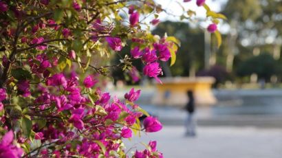 Início da primavera 2024: novos climas e recomeços 