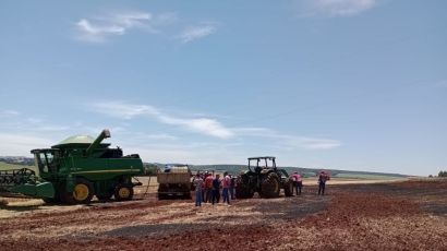 Incêndio em maquinário agrícola atinge plantação em São Domingos