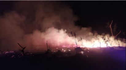 Incêndio de grandes proporções atinge área de vegetação no interior de Galvão