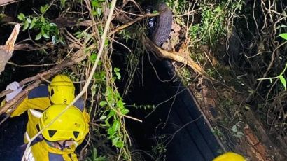 Veículo cai em ribanceira de aproximadamente 15 metros em Bom Jesus 