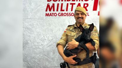 Conheça Thor, o novo membro do Canil da Polícia Militar de Xanxerê