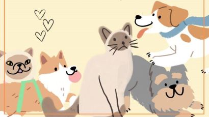 15ª edição do Brechó Animal arrecada maior lucro da história