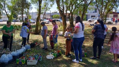 Mudas de árvores nativas serão distribuídas em Xanxerê