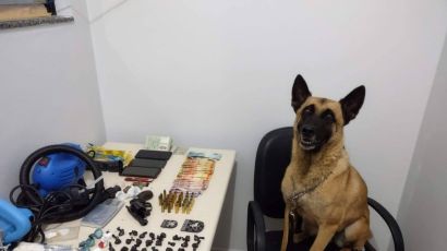 Cadela Pantera, que dedicou anos de serviço em Xanxerê, morre após carreira de destaque na PMSC