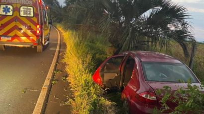 Carro sai da pista e bate em árvore na SC-480, em São Domingos