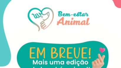 Grupo Bem-Estar Animal realizará nova edição do Brechó Animal