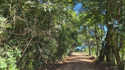 Secretaria de Agricultura intensifica manutenção das estradas do interior