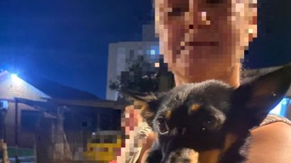 Cão é resgatado por bombeiros após ficar preso entre muros em Xanxerê