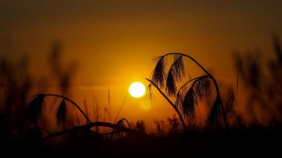 Santa Catarina enfrenta onda de calor e registra temperaturas extremas