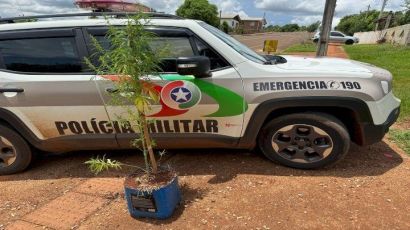 Homem é detido por posse de drogas em São Domingos