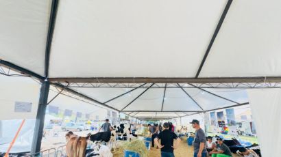 Feira da Novilha reúne pecuaristas na ExpoXaxim 2025