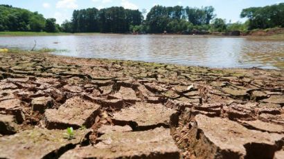 Ministra da Agricultura visitará Santa Catarina para avaliar os impactos da estiagem