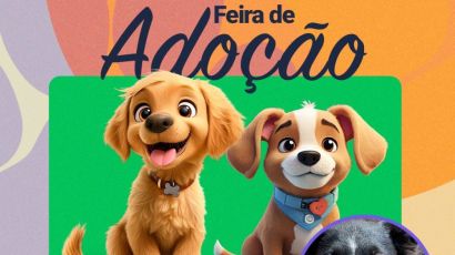 Feira de adoção de animais acontece neste sábado (15) em Xanxerê