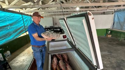 Feira do Peixe tem início em Xaxim e segue até abril