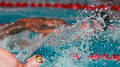 Bolsa Atleta vira lei em Santa Catarina