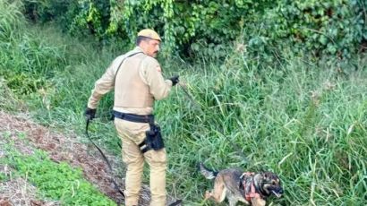Homem é encontrado desorientado após desaparecimento em área rural de Xanxerê