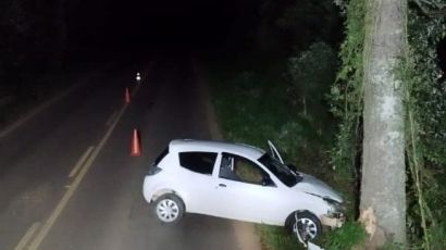 Condutor fica ferido após colidir contra árvore em Ponte Serrada