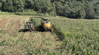 Prefeitura de Xaxim mantém programa de silagem para apoiar pequenos produtores