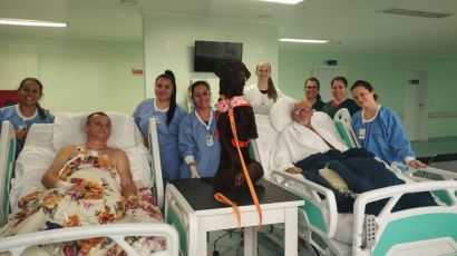 Projeto Plantão Quatro Patas leva carinho e bem-estar ao HRSP