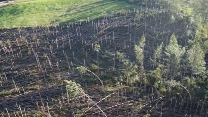 Tornado é registrado em Passos Maia na madrugada de segunda-feira (23)