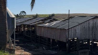 Vendaval deixa prejuízo estimado de R$ 1,3 milhão no interior de Abelardo Luz