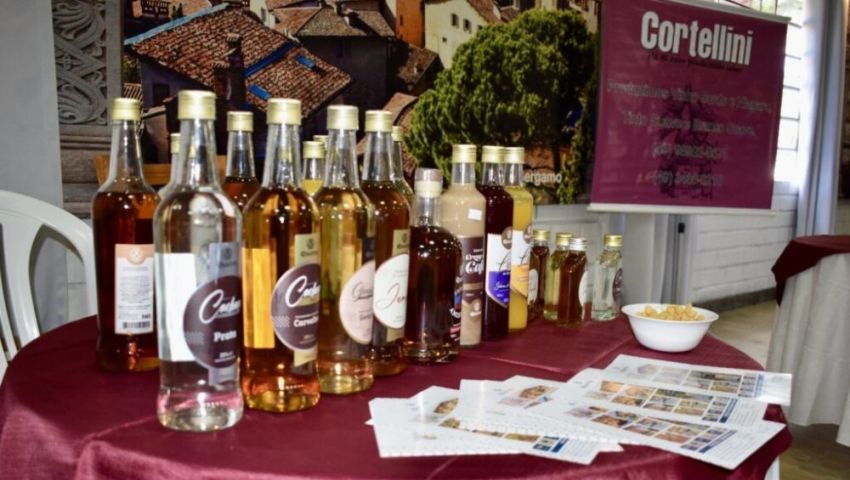 Seminário do Vinho e Cachaça impulsiona setor e fortalece Agricultura Familiar