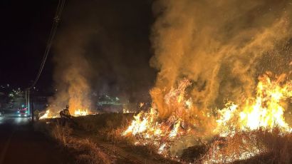 Incêndio de grandes proporções em vegetação mobiliza bombeiros em Xanxerê