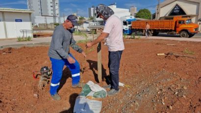 Prefeitura de Xanxerê realiza plantio de flamboyants no Ecoparque