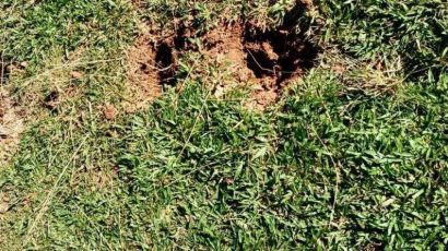 Vandalismo volta a causar prejuízos no Ecoparque Romeu Scirea em Xanxerê