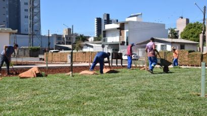 Área do Ecoparque Municipal ganha reforço no paisagismo com plantio de grama