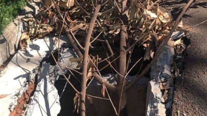 Dezenas de grades de bocas de lobos foram furtadas  em Xanxerê no ano passado