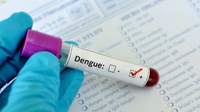Xaxim confirma novo caso de dengue e retoma mutirões de limpeza